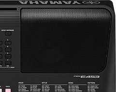 Powerful 6W speakers